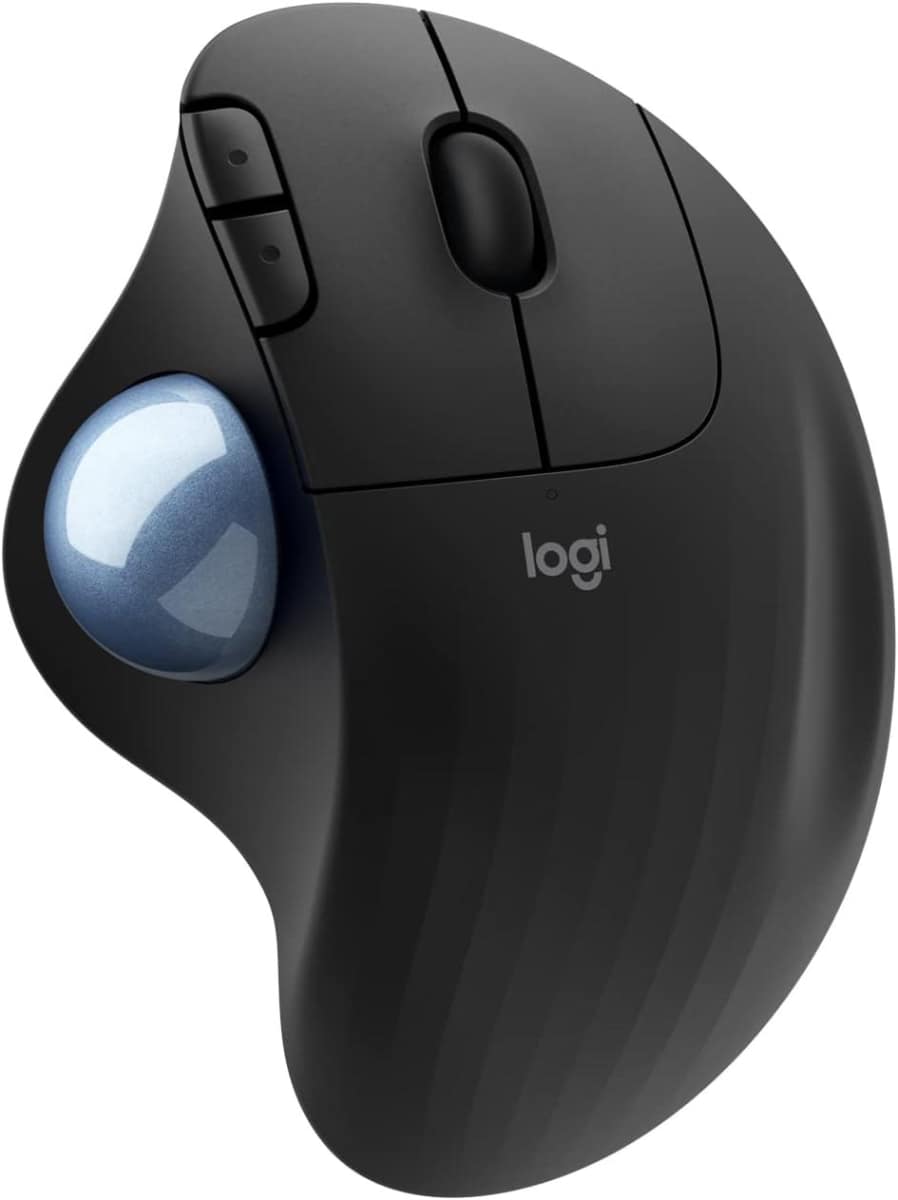 現在の同社は「Logi」というロゴを用いている。これならば社名を問わずどちらでも使える。おそらくそうした意図もあっての変更と考えられる