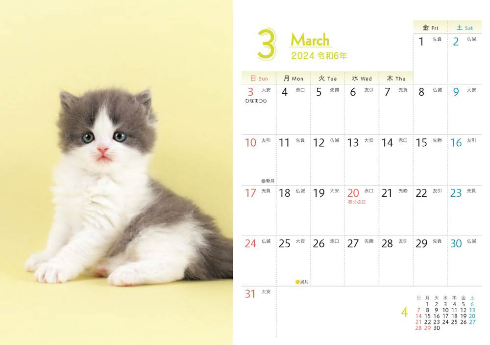 出典：もふもふこねこ mini(インプレスカレンダー2024)