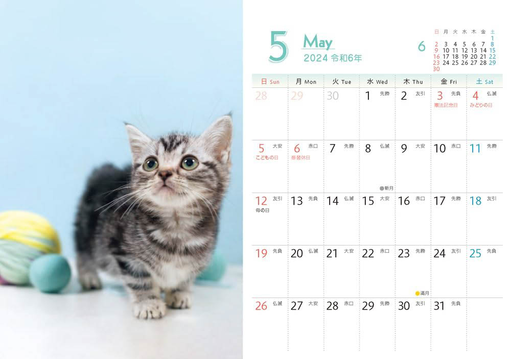 出典：もふもふこねこ mini(インプレスカレンダー2024)