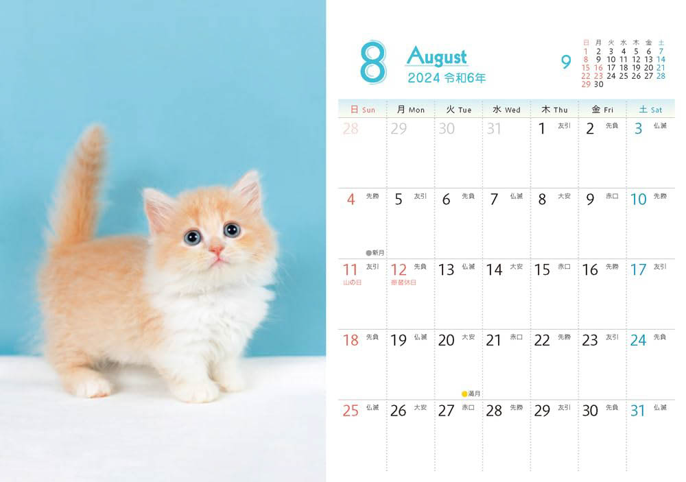 出典：もふもふこねこ mini(インプレスカレンダー2024)
