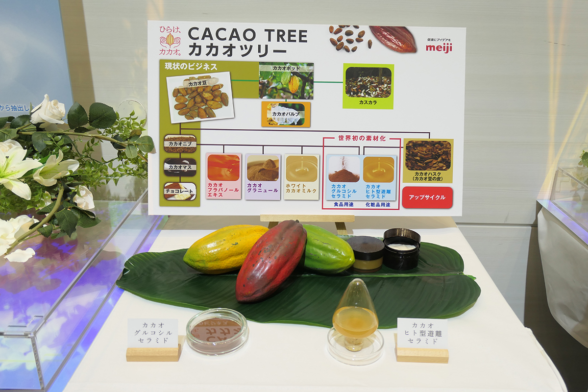 「カカオグルコシルセラミド」を配合