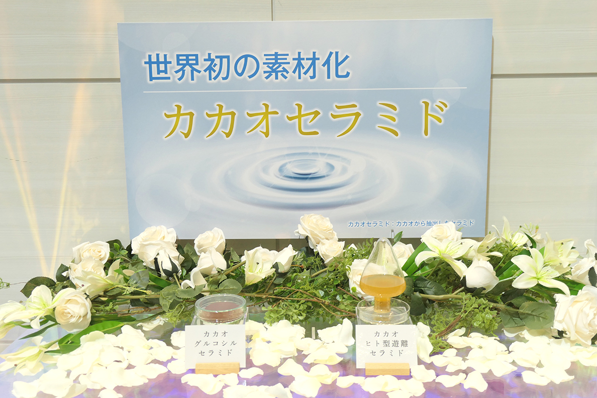 カカオセラミド