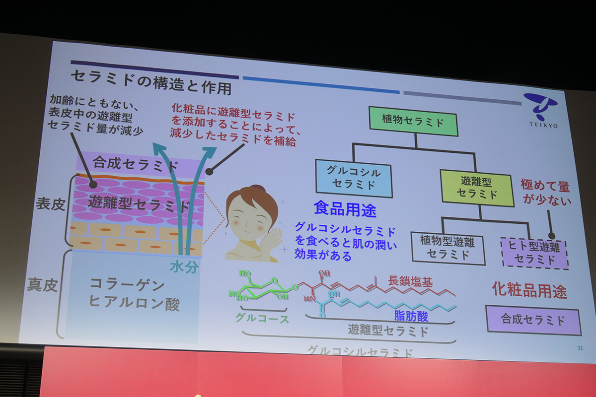 セラミドの構造と作用