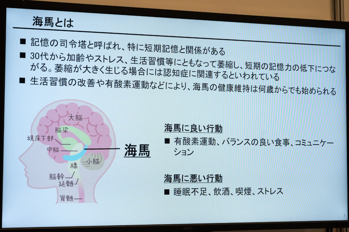 短期記憶を司る海馬。さまざまな理由により萎縮するが、萎縮が大きいと認知症につながるとされている