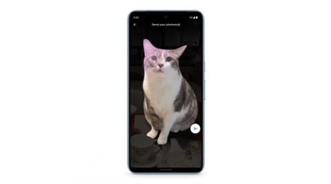 Google Pixel 8 ミントグリーン 本体 Google Pixel 【あすつく、土日、祝日発送、店舗受取可】新品未
