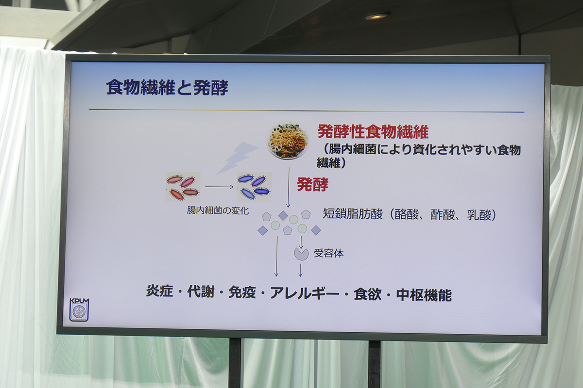 発酵性食物繊維は、腸内細菌によって発酵されやすい食物繊維