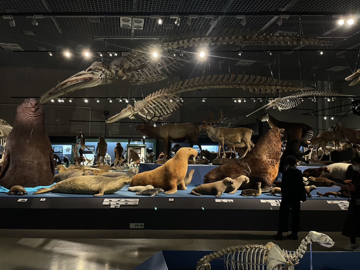 出口近辺から展示を振り返ると、もう一周したくなった