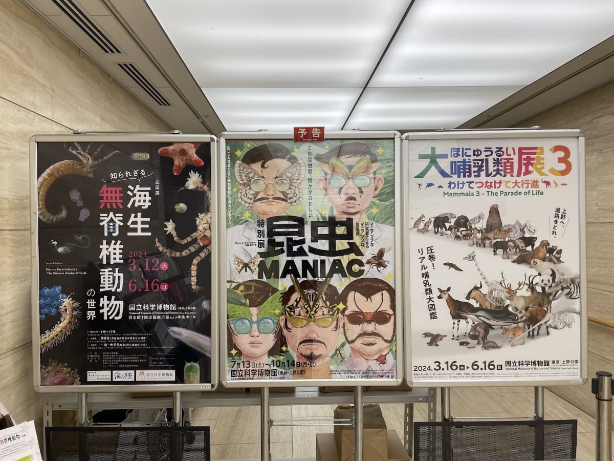 6月16日まで、企画展「知られざる海生無脊椎動物の世界」が開催されている