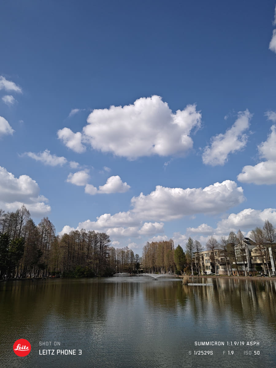 「写真」モード・1倍(24mm相当)。遠景