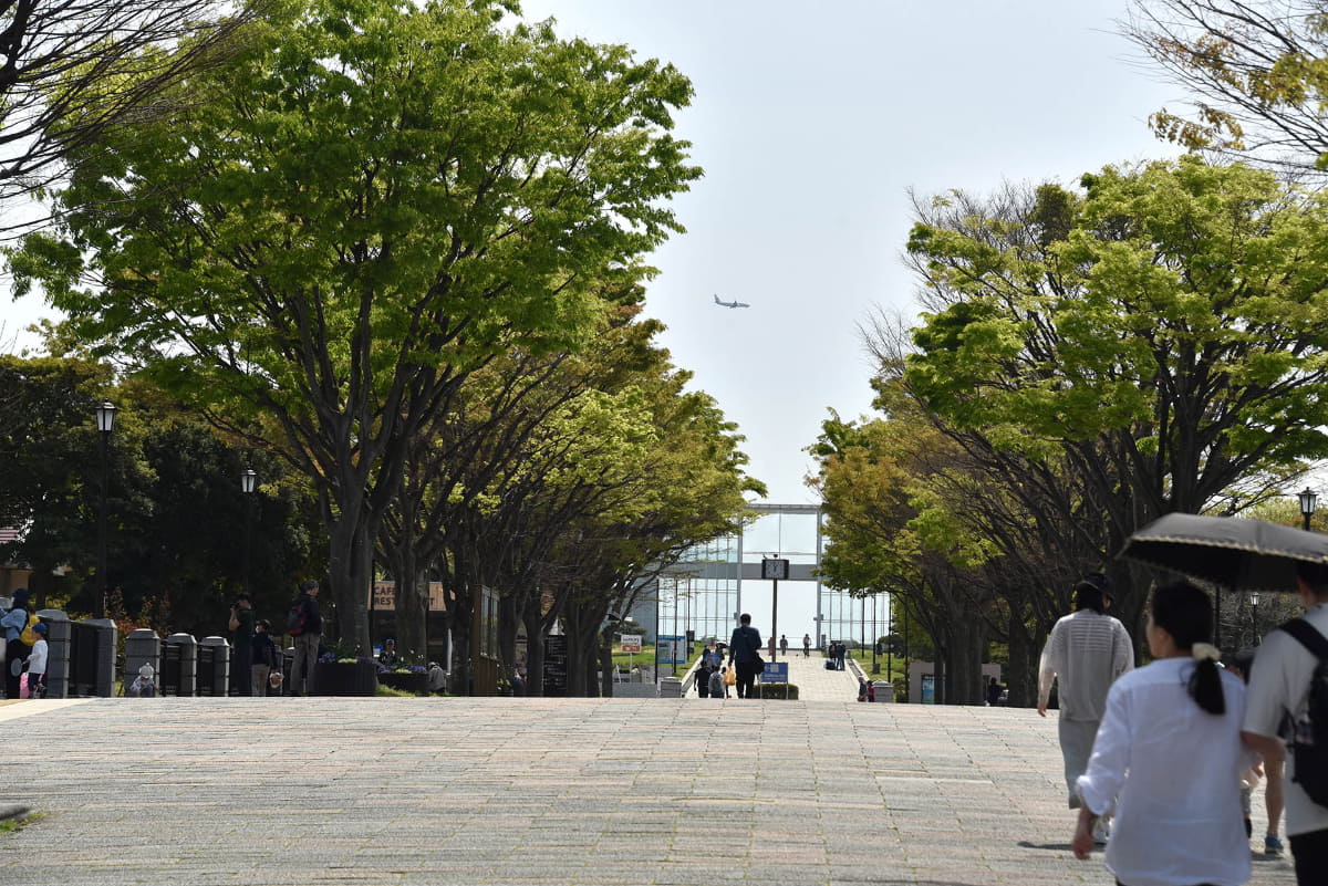 東京湾の自然環境を保護するために計画された葛西臨海公園。週末などは、家族連れやカップルなどでにぎわう