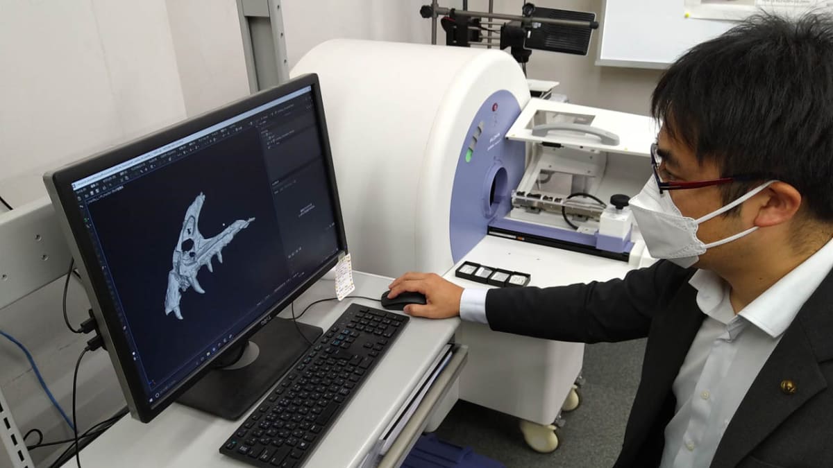 3Dモデルを構築している様子(画像提供：福井県立大学)