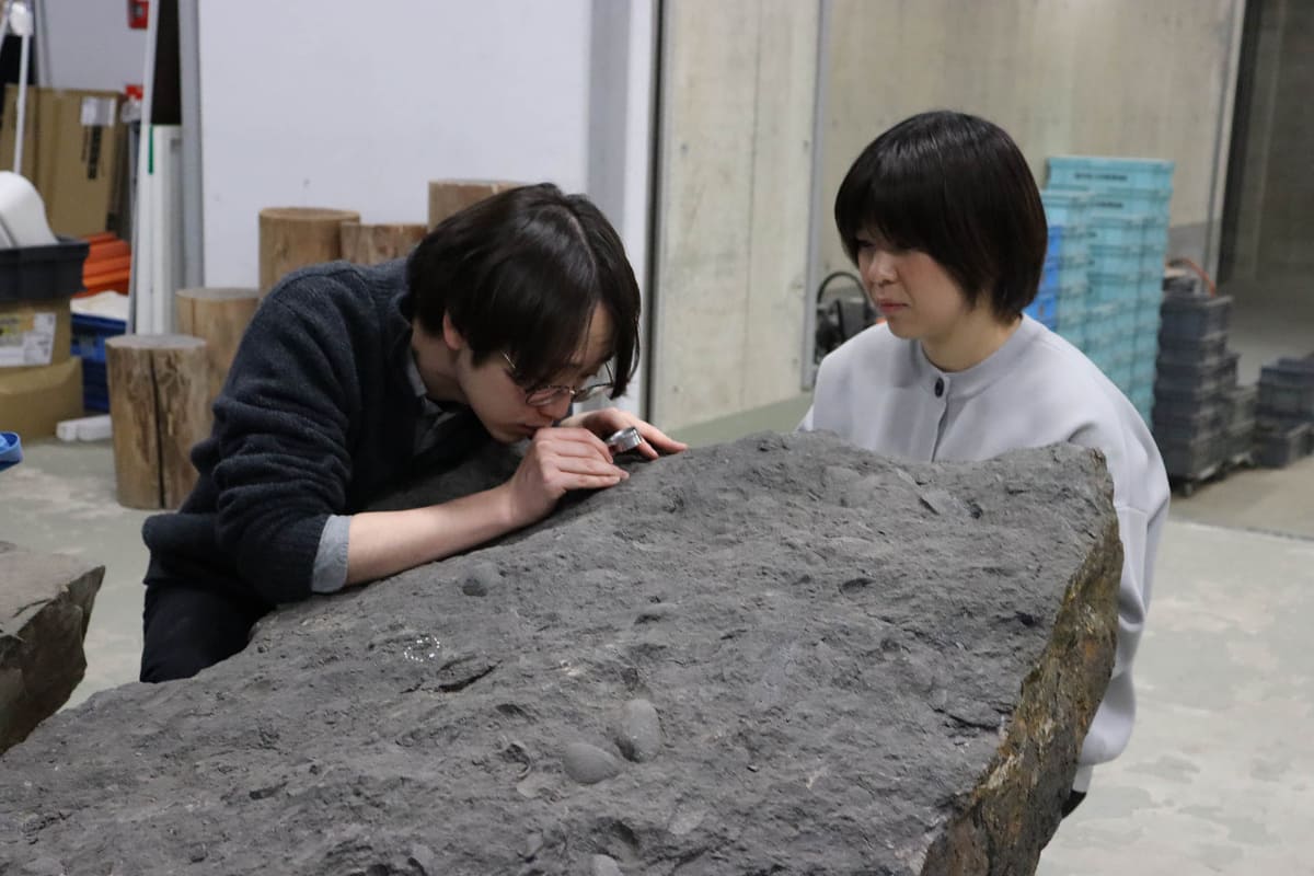 標本観察の様子(画像提供：福井県立大学)