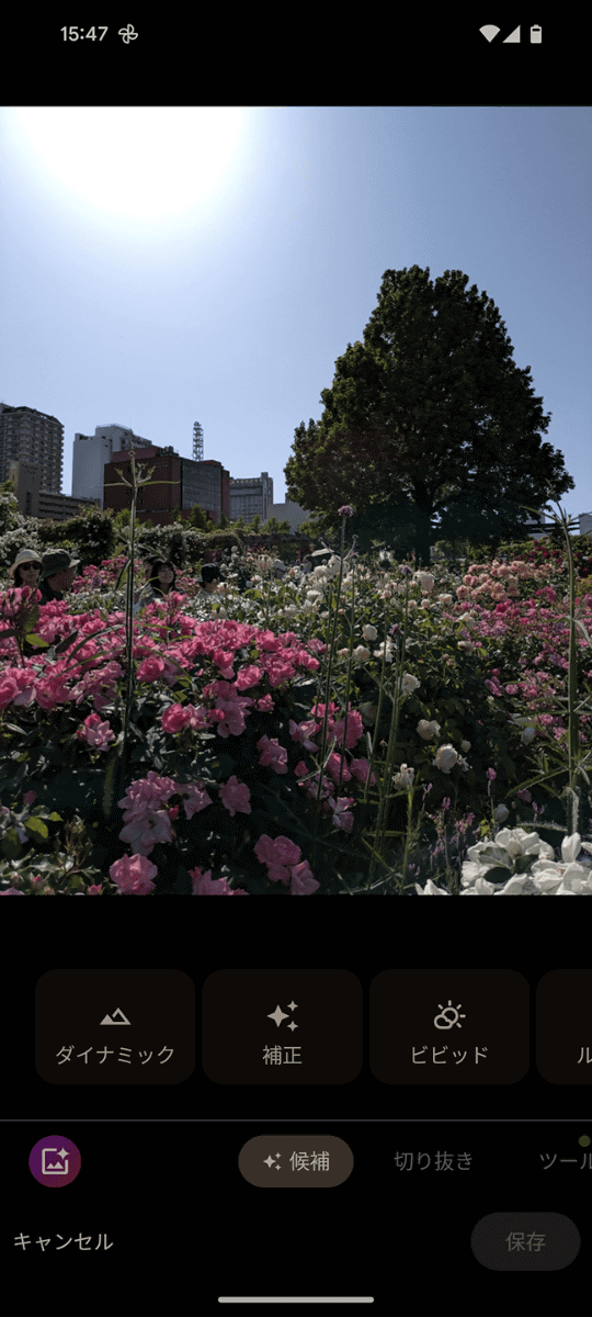 こちらが元画像。Google フォトの「編集」を開くと、画面左下にカラフルなアイコンが表示されています。これが「編集マジック」のサイン