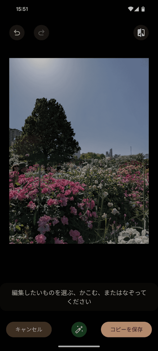 できあがったのがこちらの画像。それは見事に、もともと木のあった場所の背景が空色一色になっています