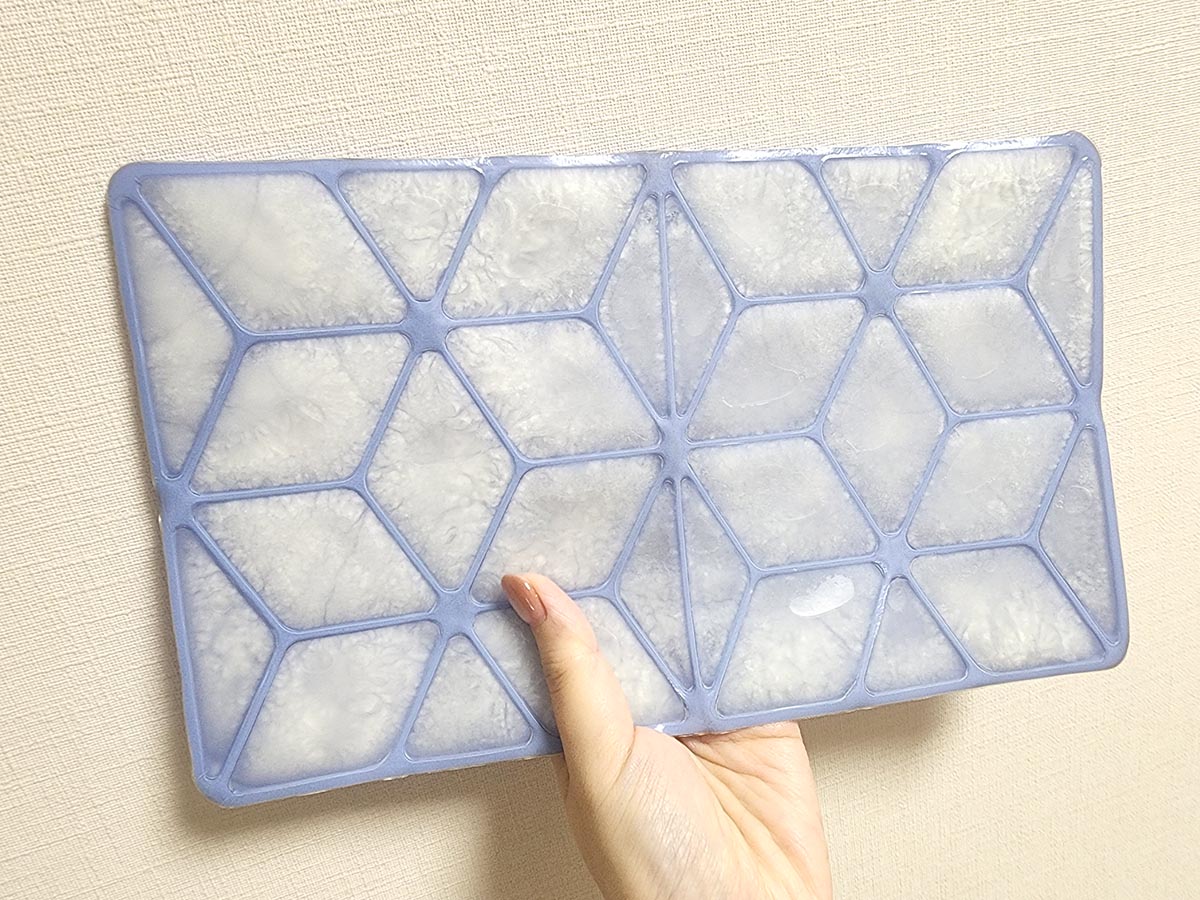 冷凍庫で10分冷やした状態