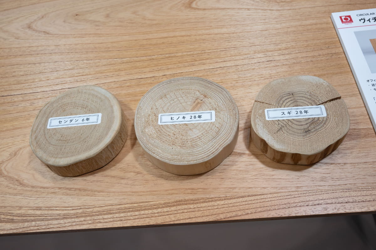 センダンは成長サイクルが短く森林循環も促進させる