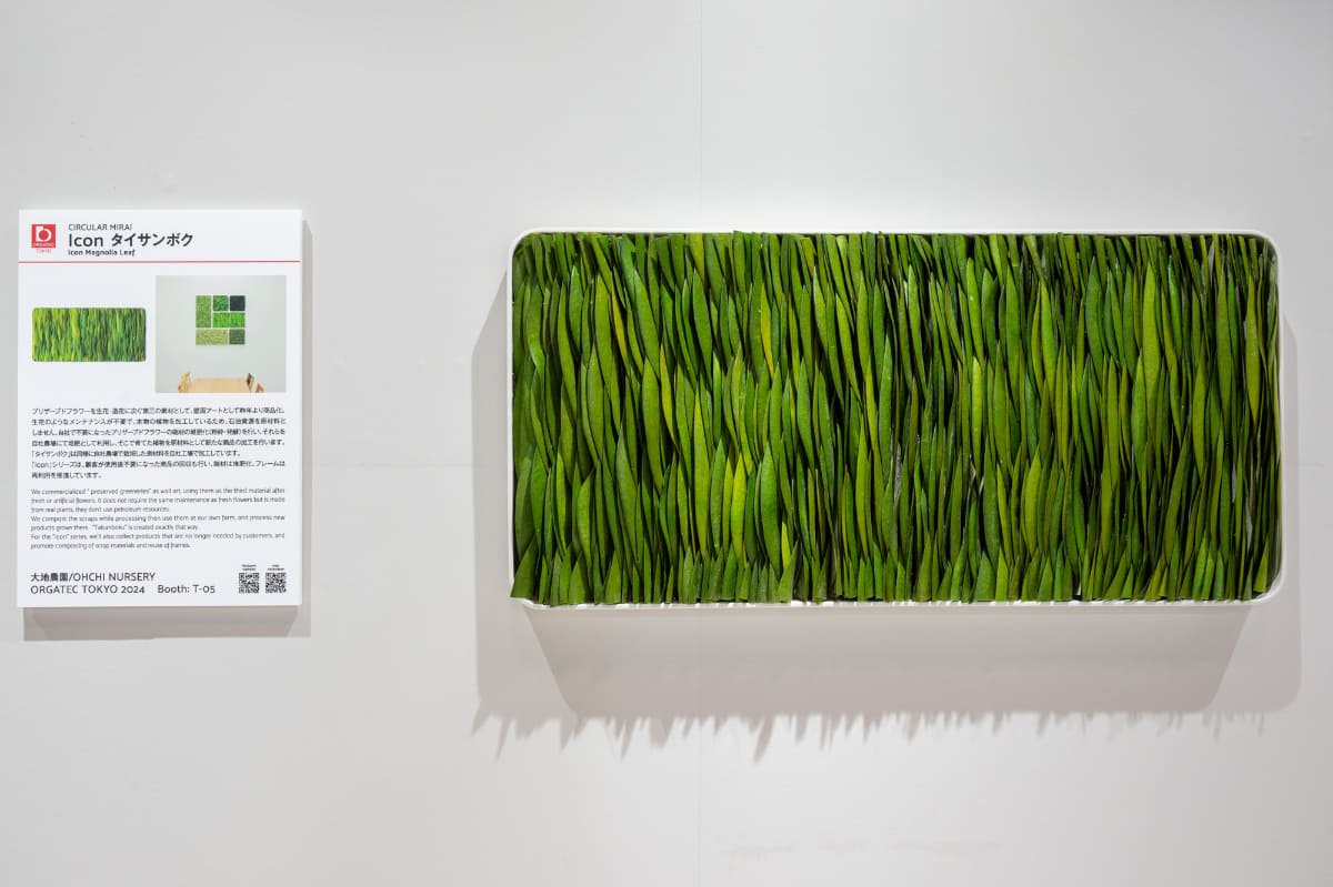 大地農園「Icon タイサンボク」。壁面アートとして使える、本物の植物を加工したブリザードフラワー。生花のようなメンテは不要。不要になり回収したものや端材は堆肥化して再利用される