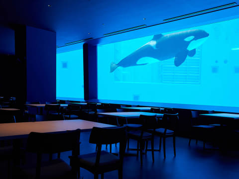 神戸須磨シーワールド・海浜公園、6月1日全面開業 - Impress Watch