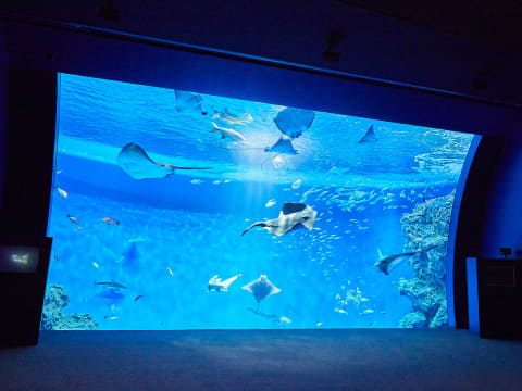 神戸須磨シーワールド・海浜公園、6月1日全面開業 - Impress Watch