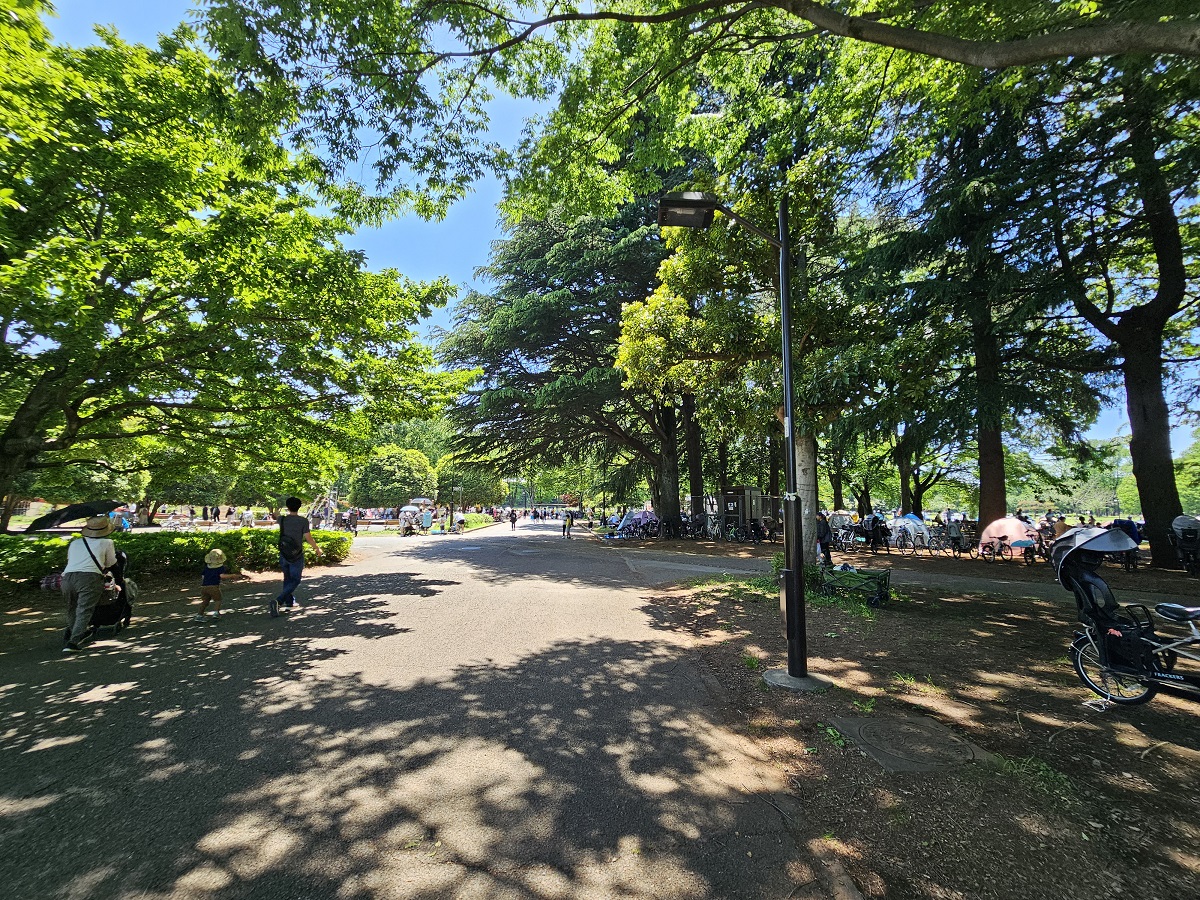 広い公園ではぐれたりしても、位置情報でどの辺にいるのかだいたいわかる