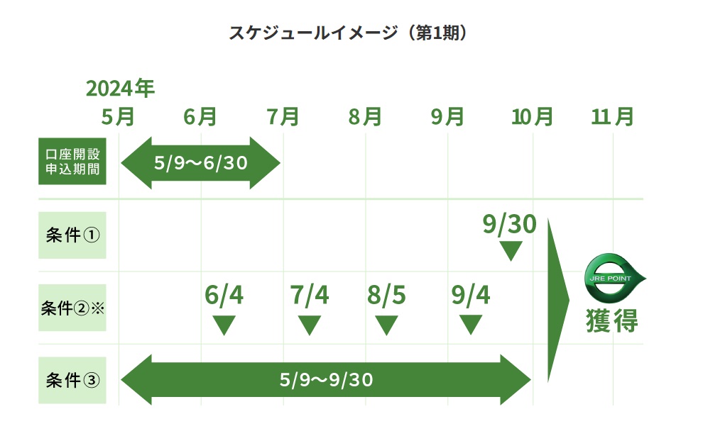 第1期のスケジュールイメージ