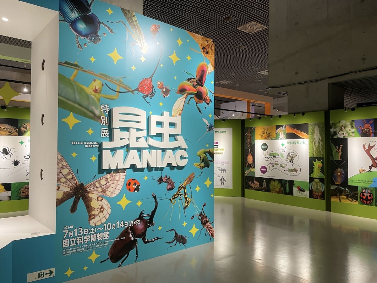 東京・上野の国立科学博物館で始まった特別展「昆虫 MANIAC」