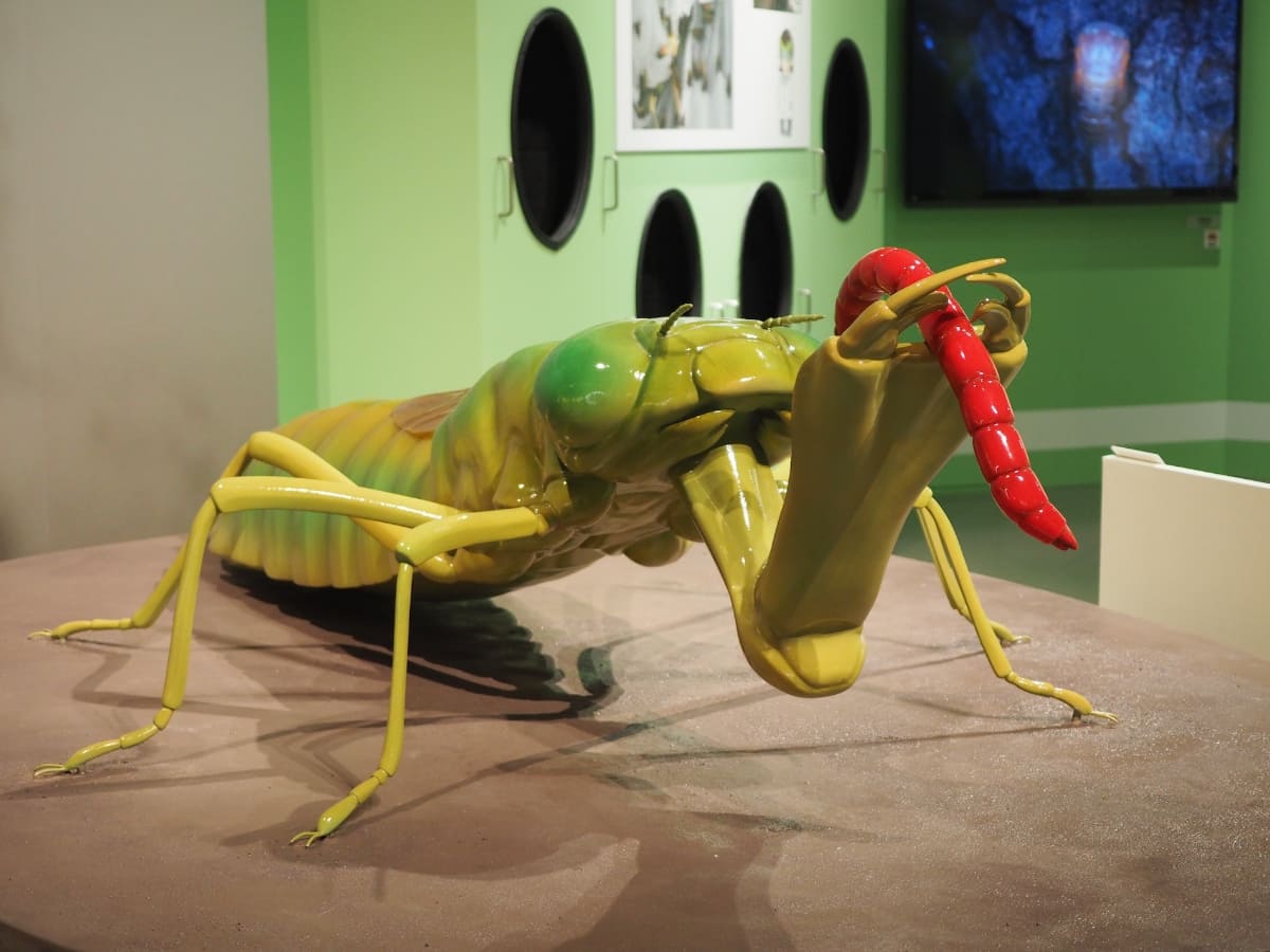 「トンボの扉」にある、ギンヤンマのヤゴを約40倍に拡大した模型