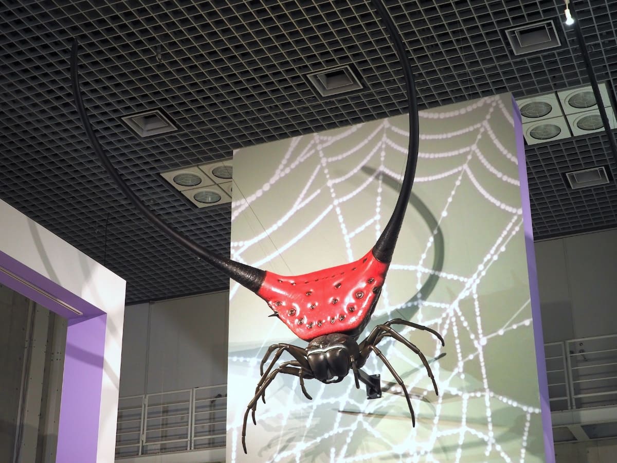「クモの扉」にある、オオナガトゲグモを約110倍に拡大した模型