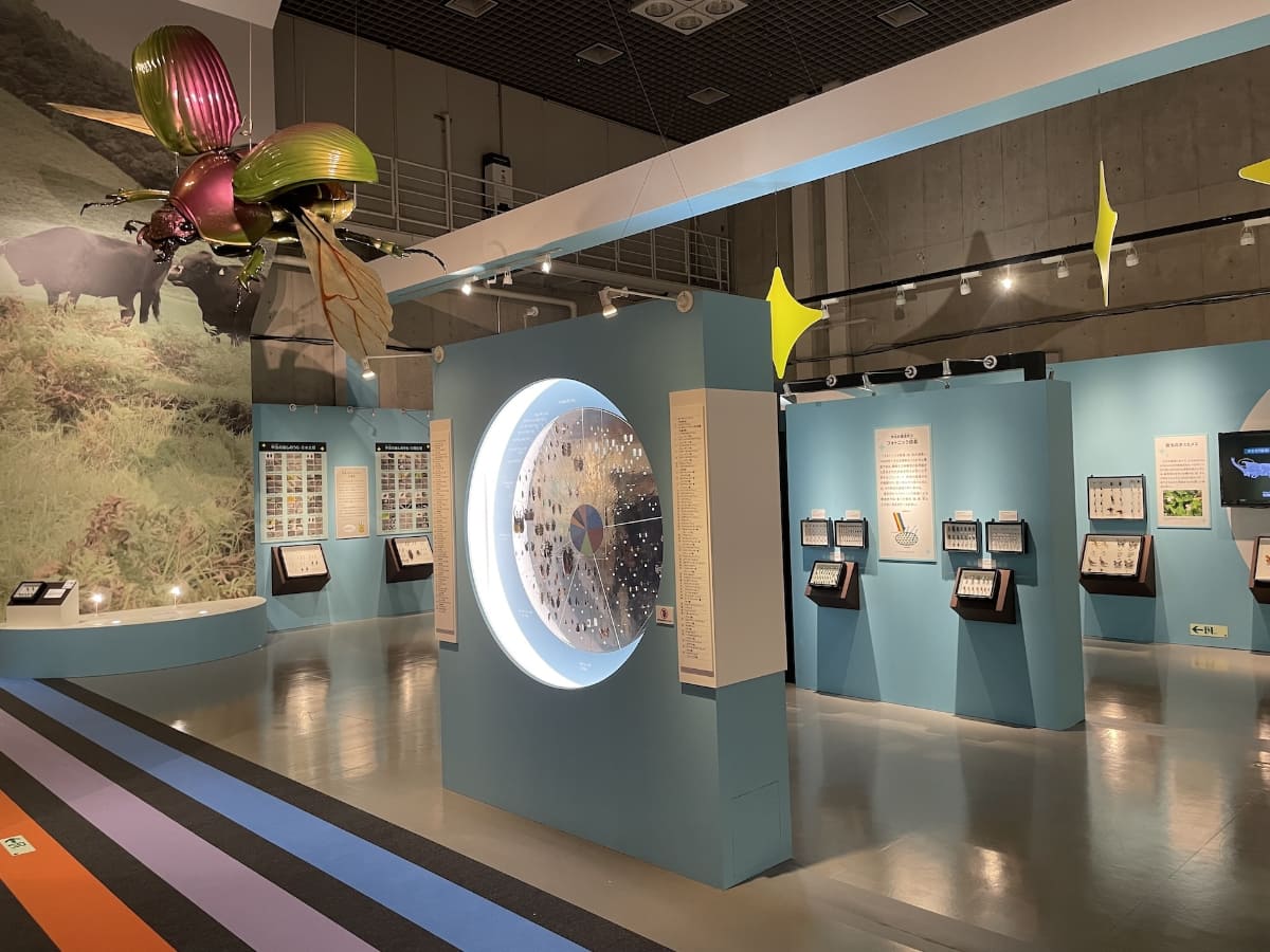 主に甲虫を紹介する「カブトムシの扉」