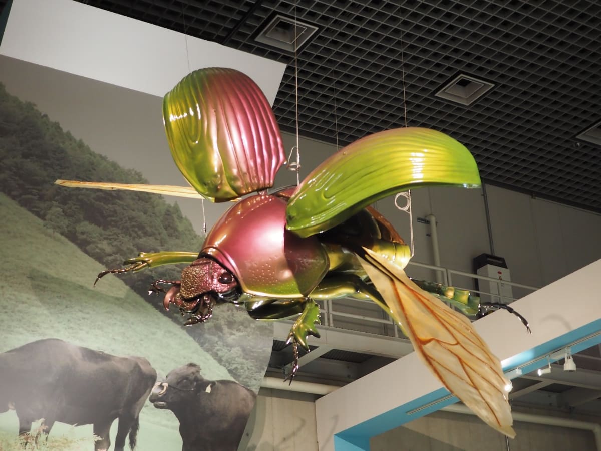 「カブトムシの扉」の上を飛ぶ、巨大なオオセンチコガネ