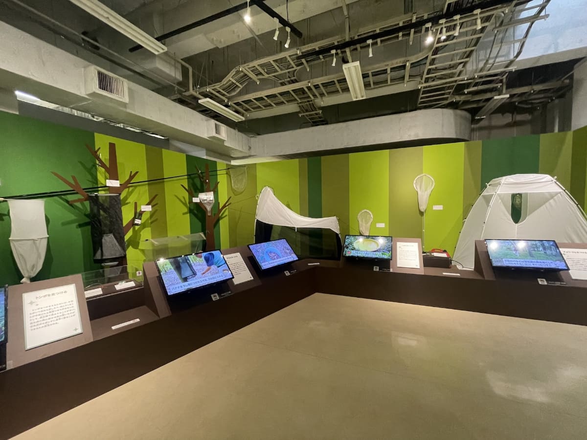 昆虫採集の仕方を丁寧に解説するコーナーもある