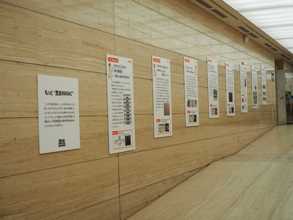 平常展でもムシに関するマニアックな知識が得られる