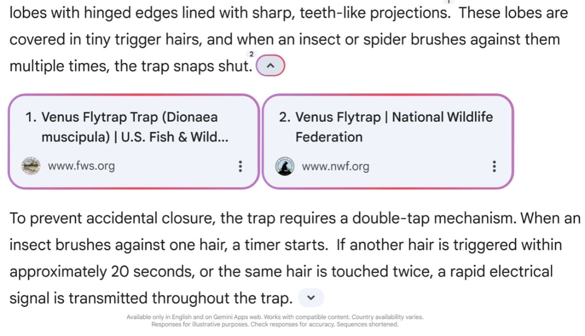 一部の国の英語プロンプトに対応する回答では、関連リンクを表示して外部のWebサイトにアクセスできる