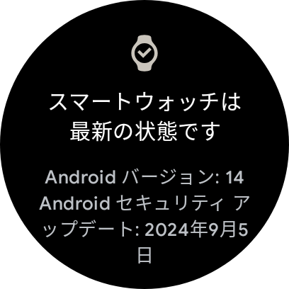 試用したPixel Watch 3にはAndroid 14が適用されていました