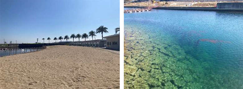 ラグーン 実際の写真