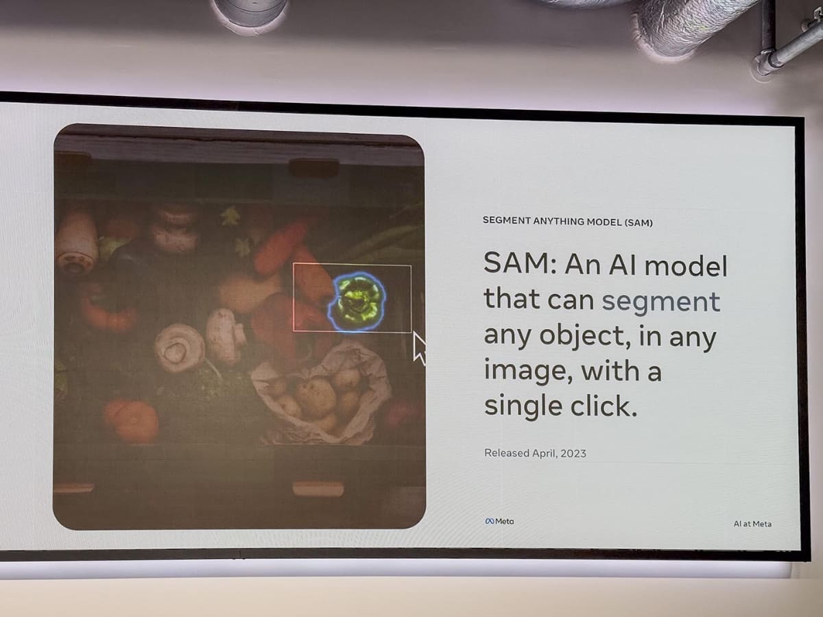 画像に映っているものを「セグメント分け」するSAM
