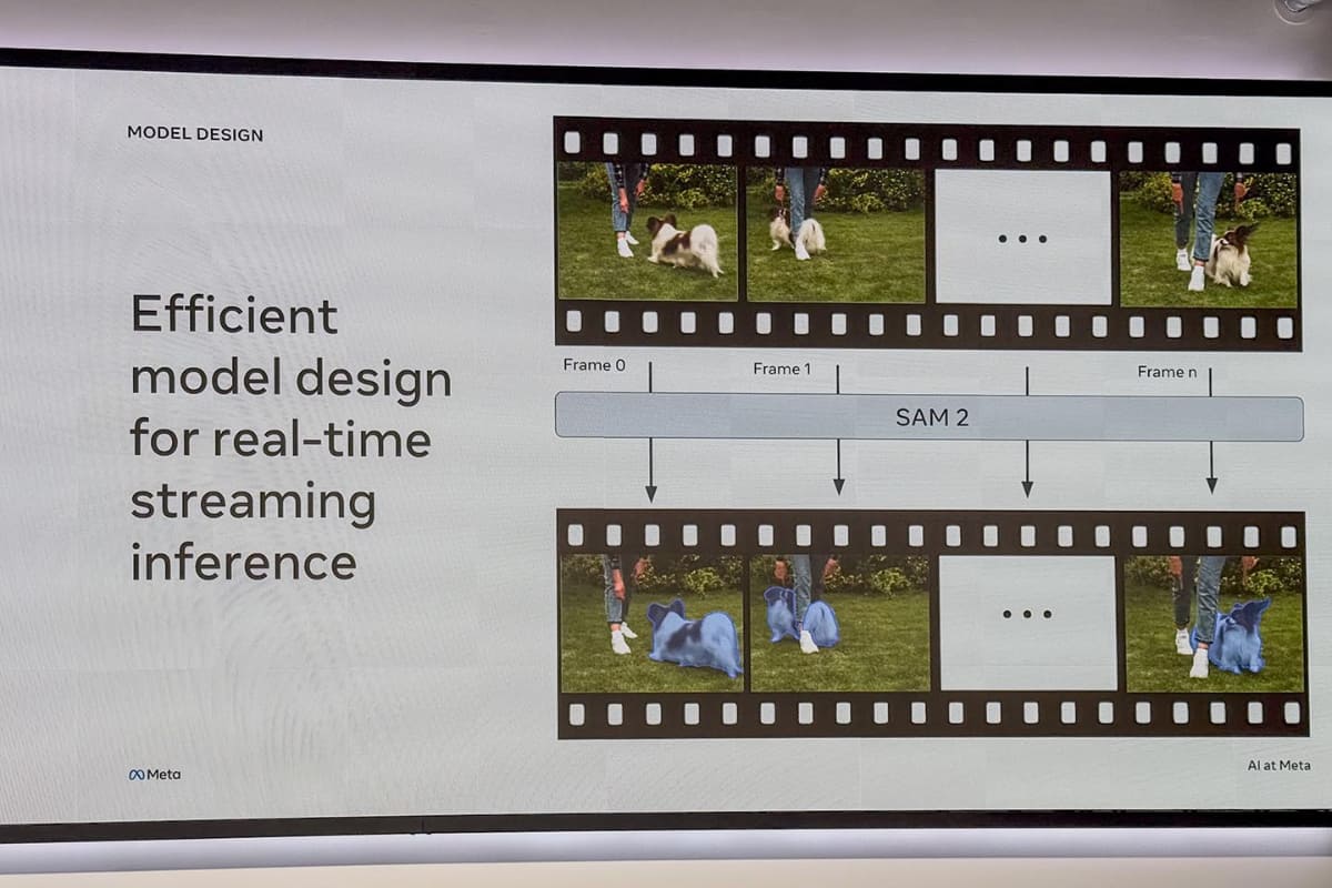 SAM2での処理例。足の向こうに犬が移動してもちゃんと認識している