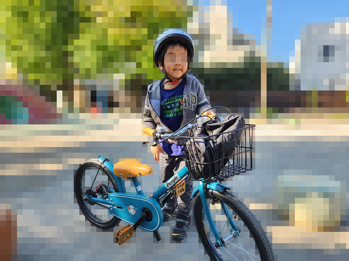 ノーマルタイプの自転車では移動が難しくなってきた(写真は4歳前後)