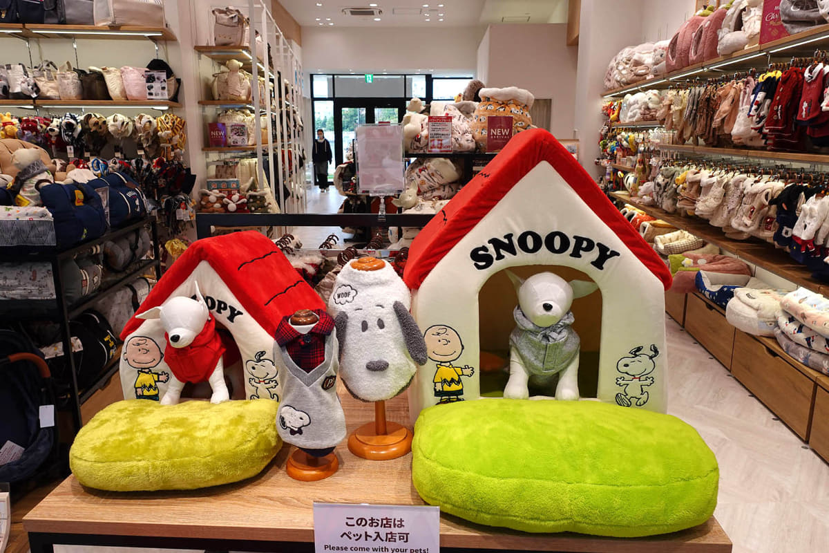 ペットショップ店内