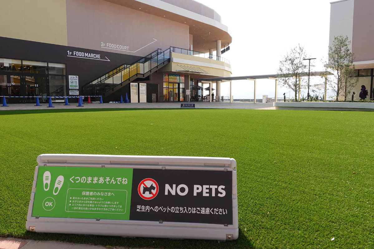 大屋根広場前の芝生広場