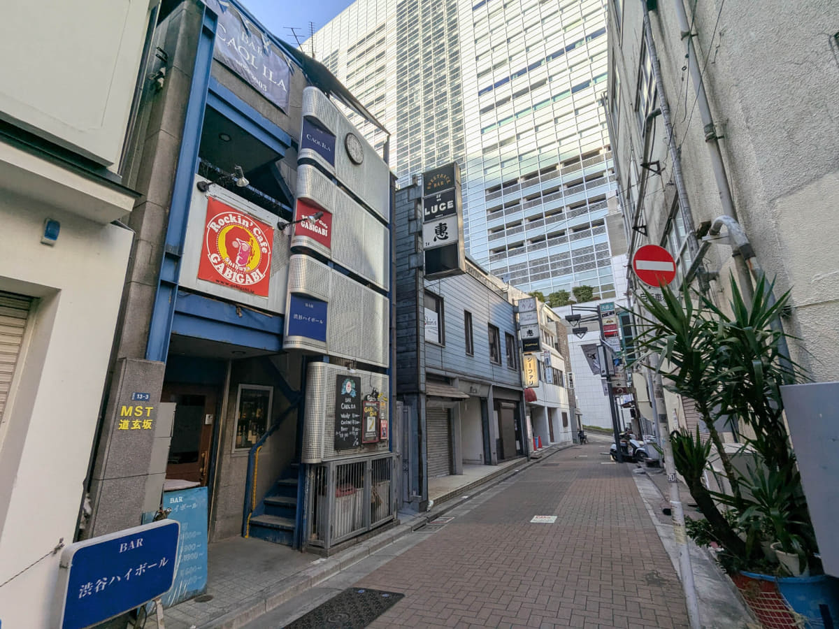 奥の坂をあがったところにも居酒屋が多く入っていました。奥に渋谷マークシティが見えます