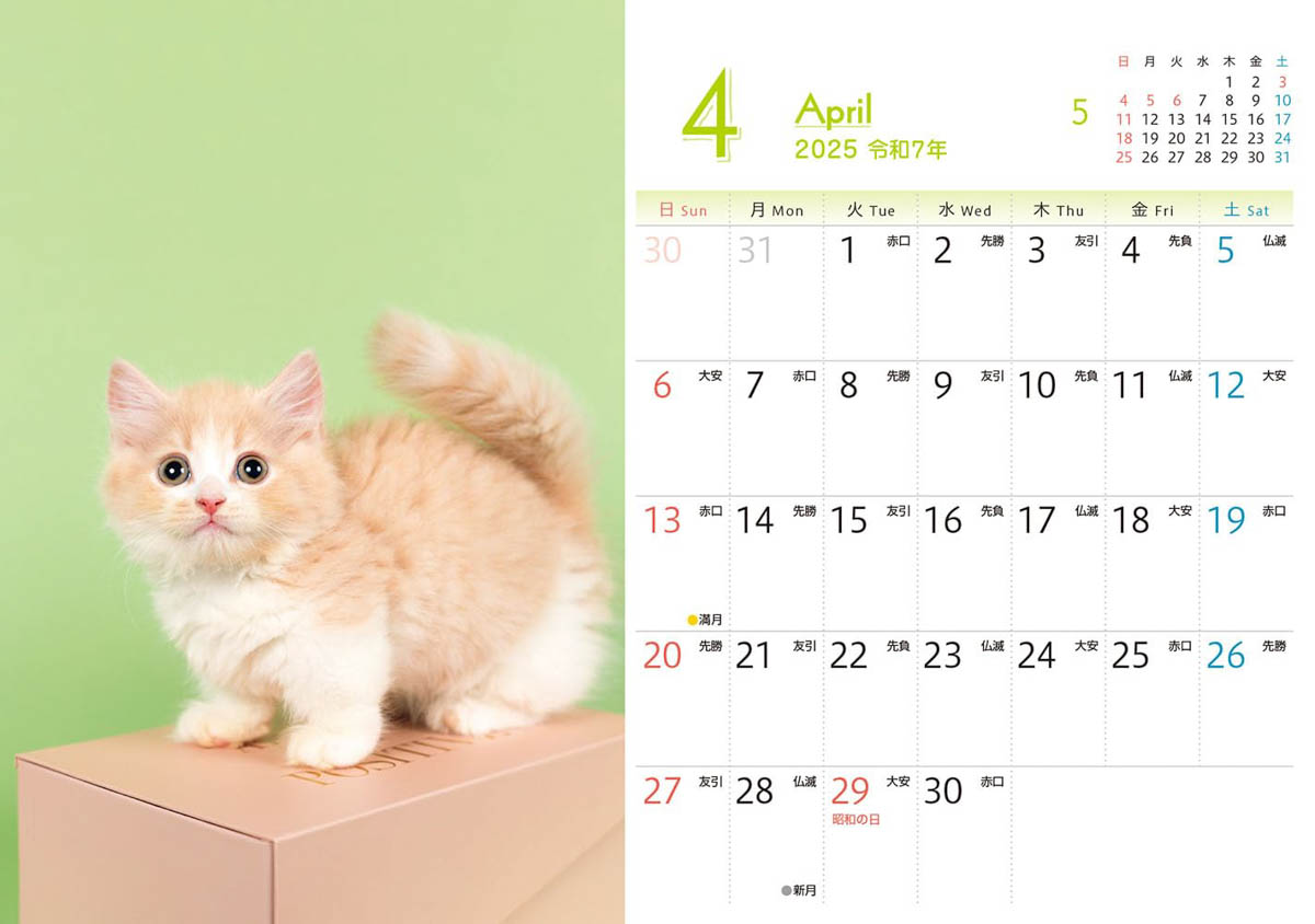 <a href="https://book.impress.co.jp/books/1124102029">出典：もふもふこねこ mini(インプレスカレンダー2025)</a>