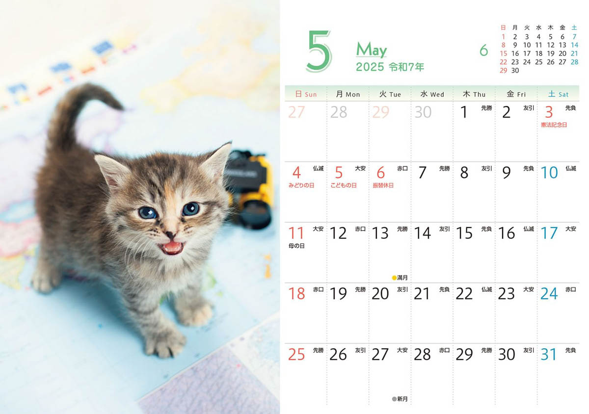 <a href="https://book.impress.co.jp/books/1124102029">出典：もふもふこねこ mini(インプレスカレンダー2025)</a>