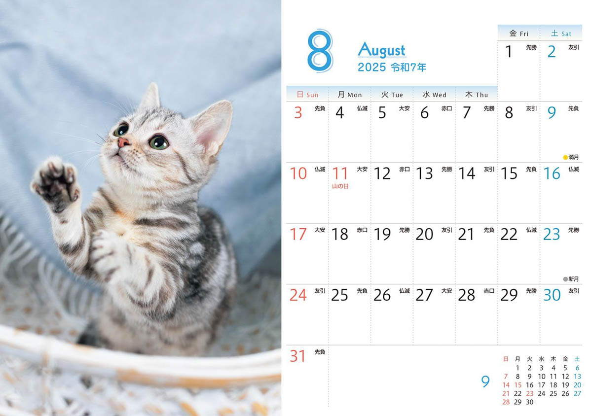 <a href="https://book.impress.co.jp/books/1124102029">出典：もふもふこねこ mini(インプレスカレンダー2025)</a>