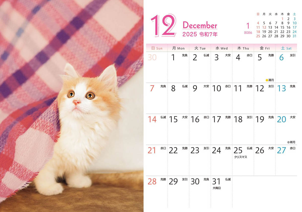 <a href="https://book.impress.co.jp/books/1124102029">出典：もふもふこねこ mini(インプレスカレンダー2025)</a>