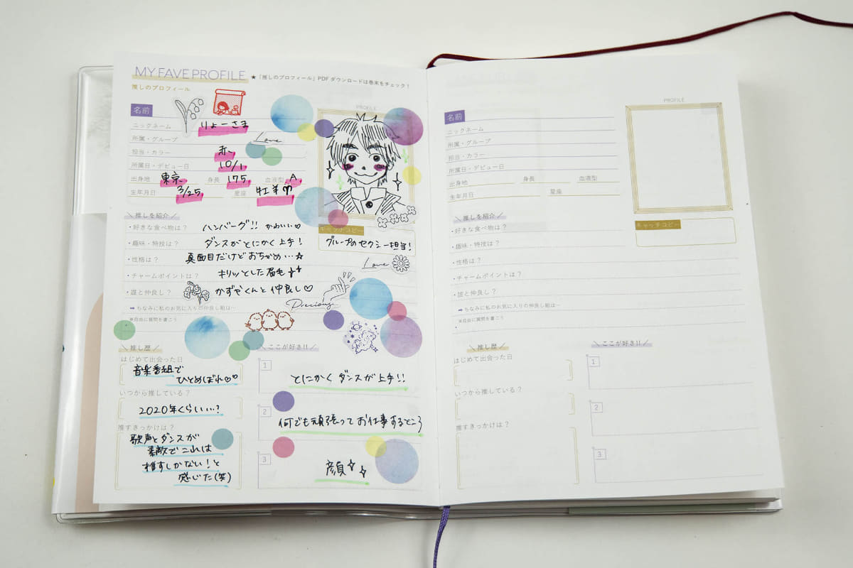 推しのプロフィールを書くページもある