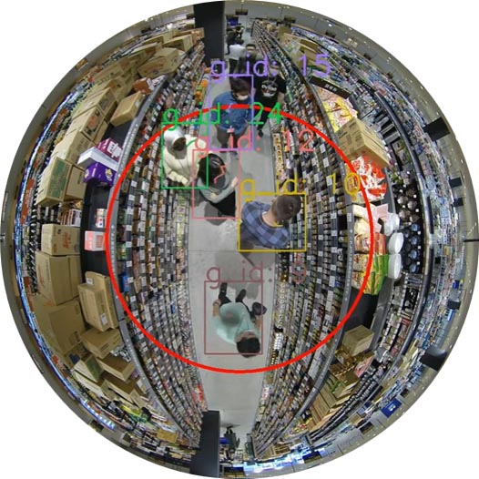 監視カメラ映像の拡大図(資料提供：AWL)