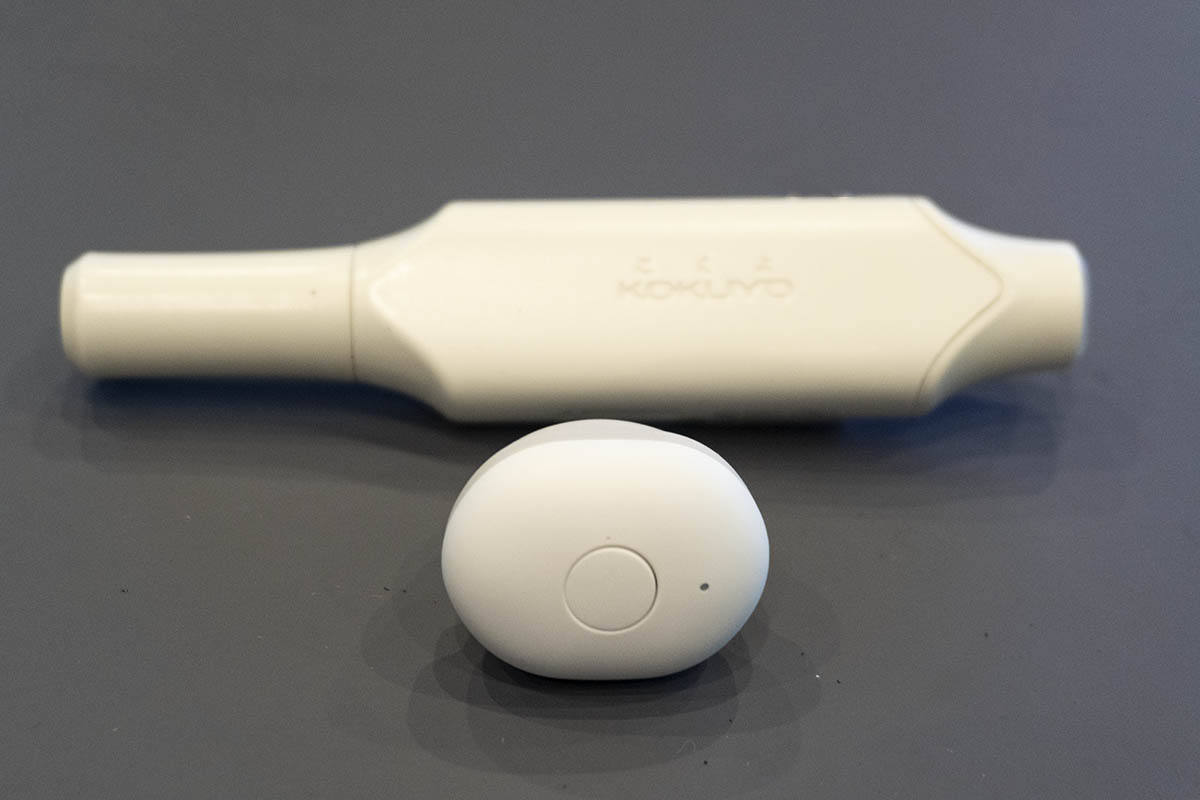 “大人”(手前)と“しゅくだい”(奥)では大きさも形状も異なる