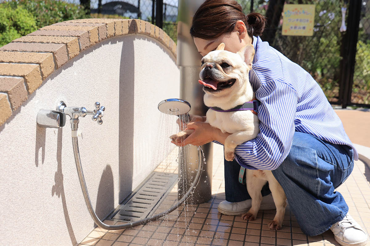 ペット足洗い場