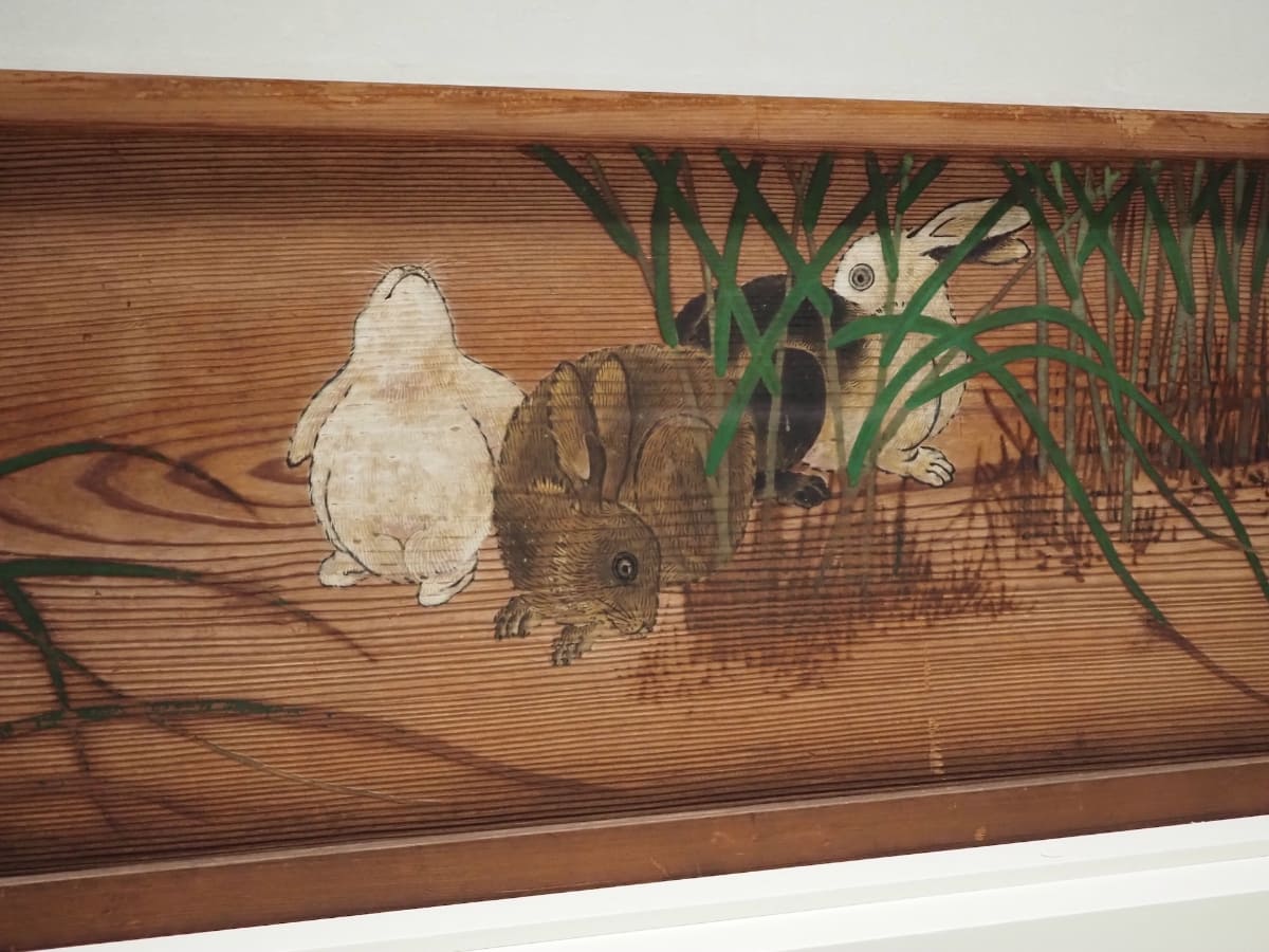 重要文化財《野兎図(部分)》渡辺始興